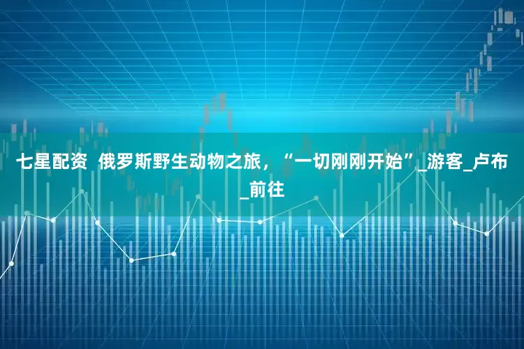 七星配资  俄罗斯野生动物之旅，“一切刚刚开始”_游客_卢布_前往