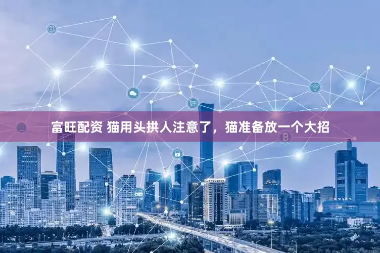 富旺配资 猫用头拱人注意了,猫准备放一个大招