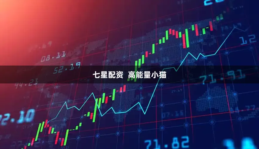 七星配资  高能量小猫
